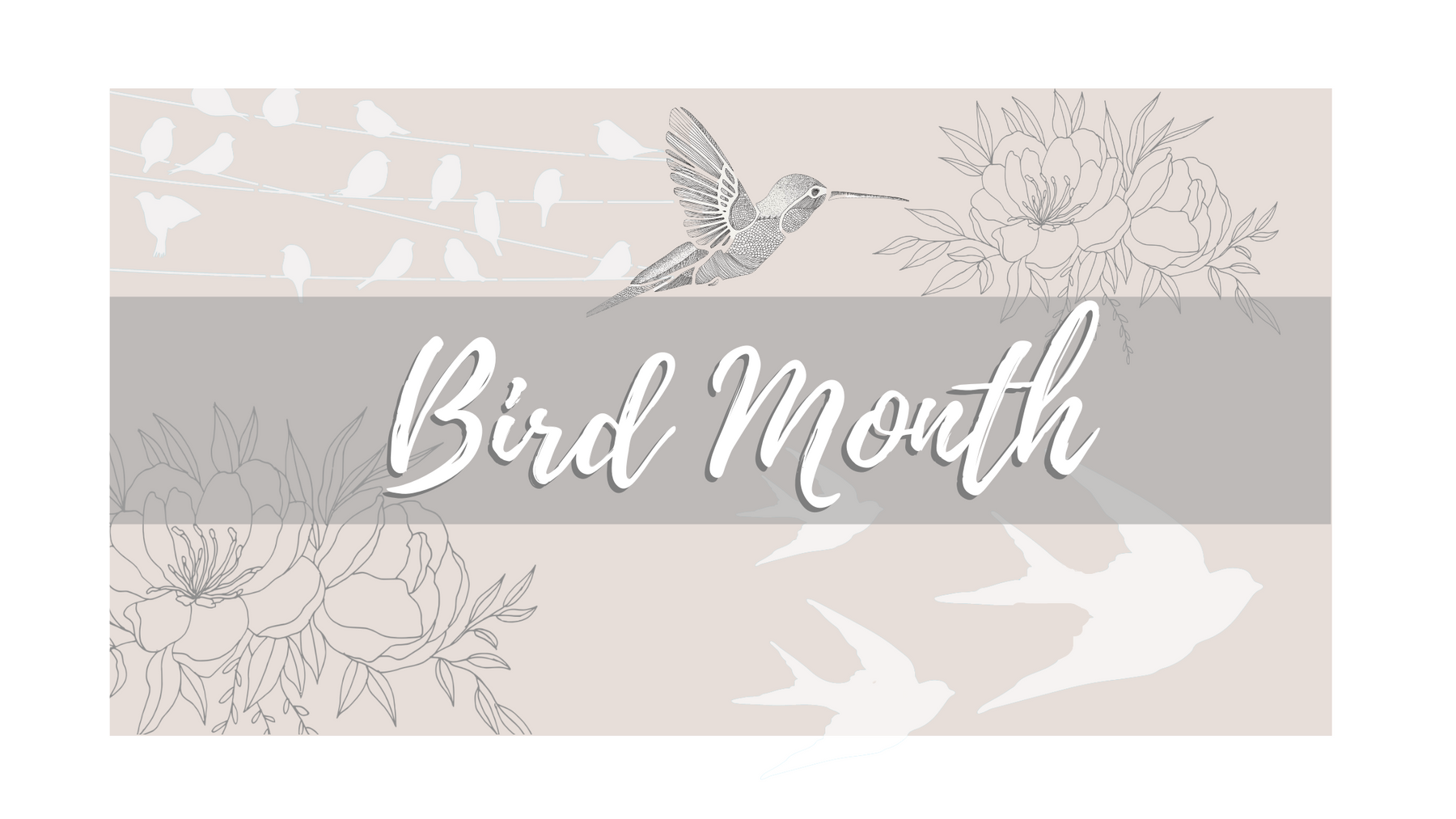 Soar into Bird Month at Stencil Me Pretty!