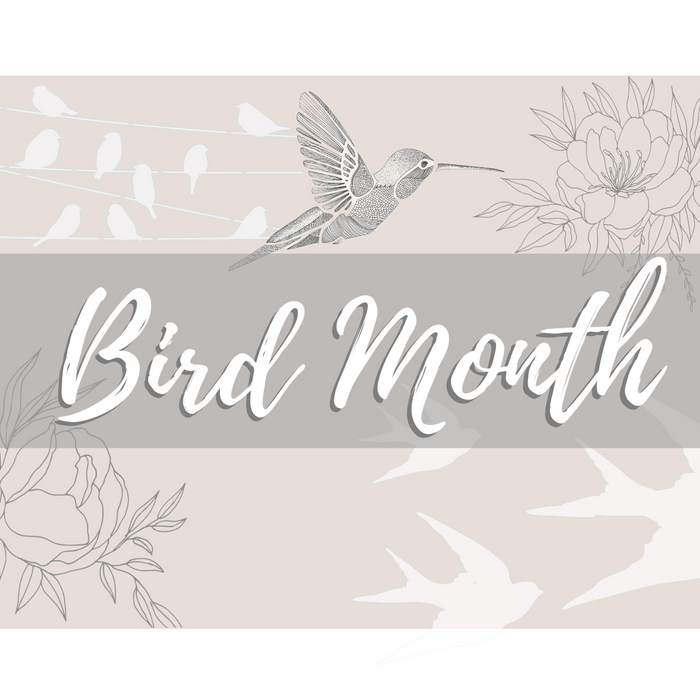 Soar into Bird Month at Stencil Me Pretty!