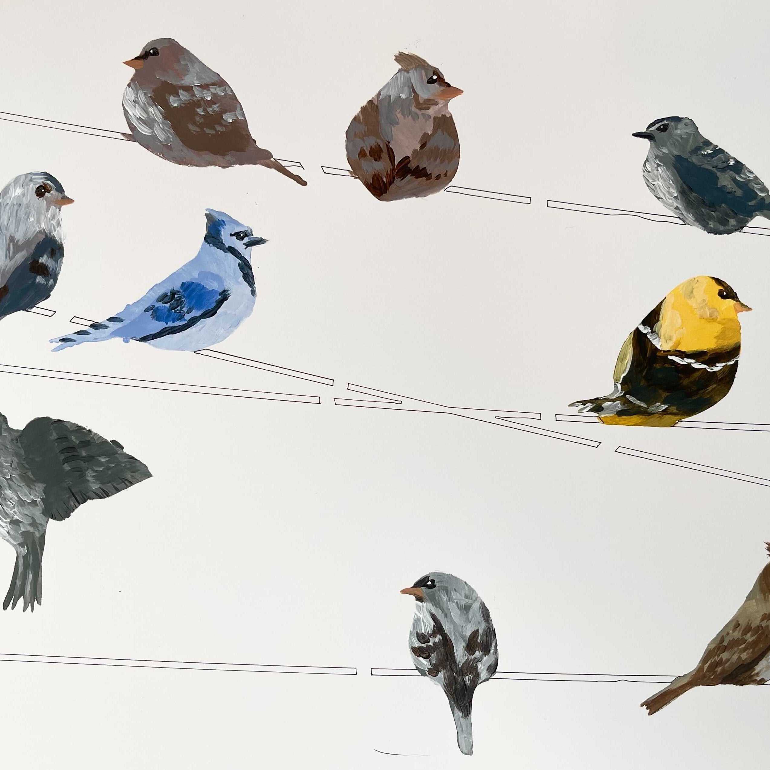 different kinds of birds sitting on wires