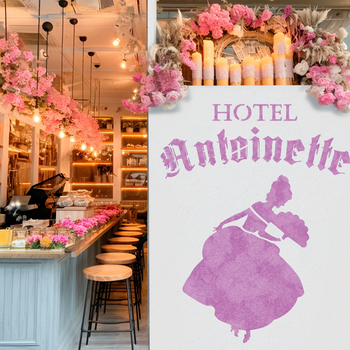 Hotel Antoinette Antique French