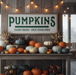 farm fresh pumpkins