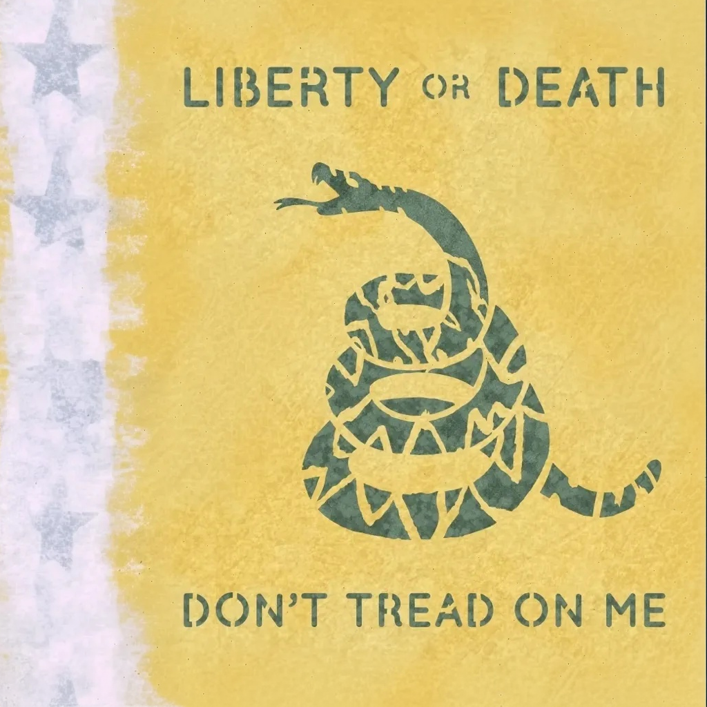 liberty-or-death-stencil-patriotic-don-t-tread-on-me-snake-template-stencil-me-pretty
