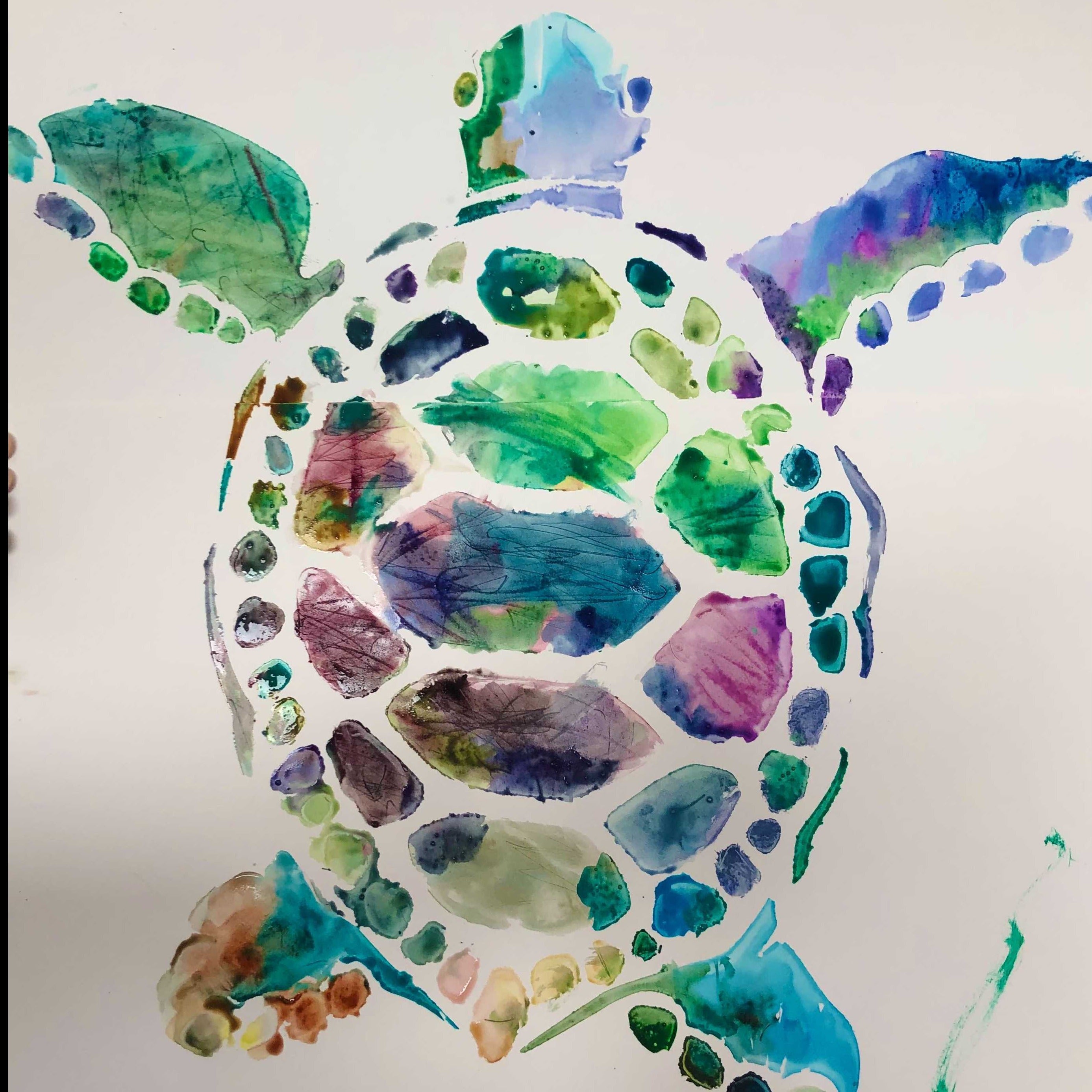 sea turtle stencil
