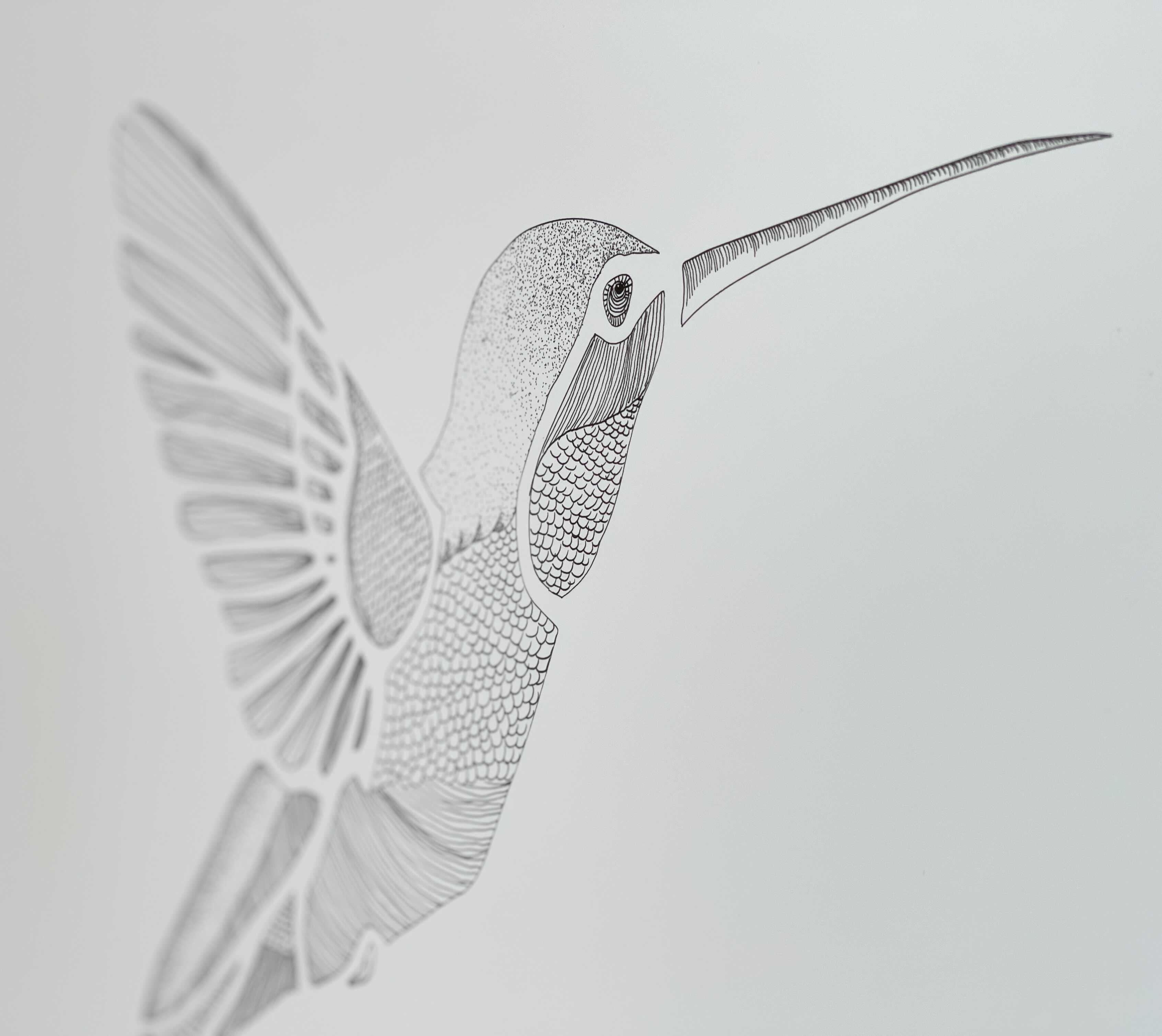 hummingbird stencil