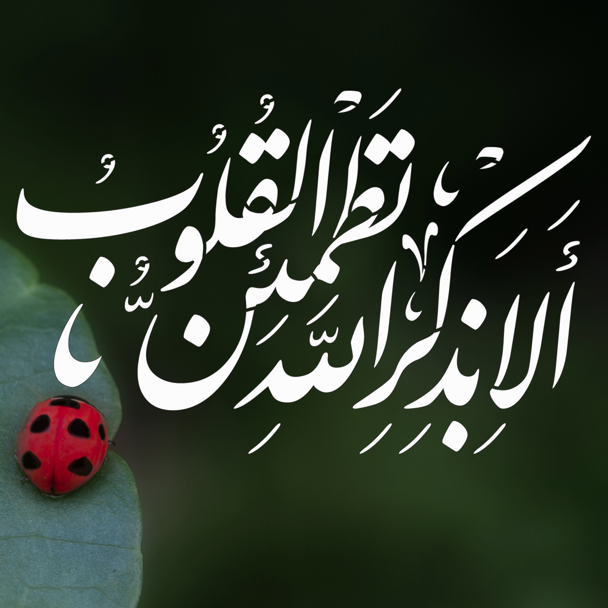 Tranquil in Remembering Allah stencil