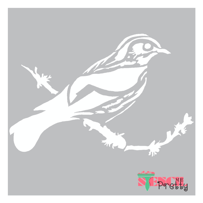 Sparrow Bird on Branch Nature