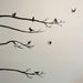 birds on branches stencil
